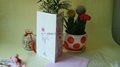Factory direct supply Real flowers cards Blessing cards Holiday cards