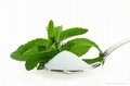Pure Stevia extract powder Rebaudioside-A 40%- 98% 4