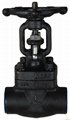 Forged steel screwed or SW ends 800lbs gate valve