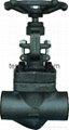 Forge steel SW or NPT ends globe valve 800lbs