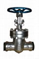 Butt welding ends BW high pressure wedge gate valve 1