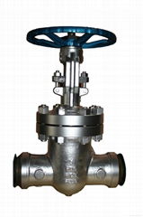 Butt welding ends BW high pressure wedge gate valve