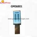 0.66 Inch LCD display