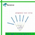 HCG pregnancy test strip 2.5mm 2