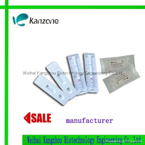 HCG pregnancy test cassette 4.0mm