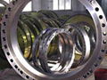 Large Scale Flange 2