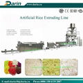 Nutritional Artificial Rice Extrusion