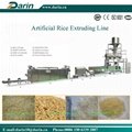 Nutritional Artificial Rice Extrusion line 2
