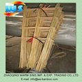 Bamboo ladder 1