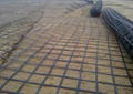 Steel Plastic Geogrid 3