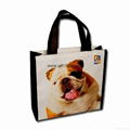 china manufacturer lamianted shopping non woven european tote bag