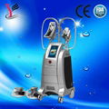 Professional vertical cryolipolysis slimming machine 1