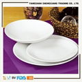 white body coup royal bone china dinner