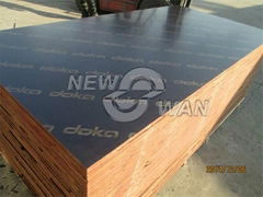 marine plywood, brown film faced shuttering plywood manufacturer