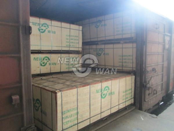 marine plywood, brown film faced shuttering plywood manufacturer 4