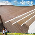 Construction commercial plywood supplier  1