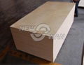 Construction commercial plywood supplier  2