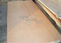 Construction commercial plywood supplier  3