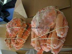 BUY KING CRABS