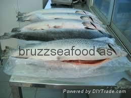 BUY NORWEGIAN SEAFOOD 2