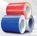 High Grade Akzo Nobel Paints Prepainted Galvanized Color Steel Coil