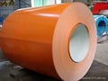 PPGI Steel Coil 2