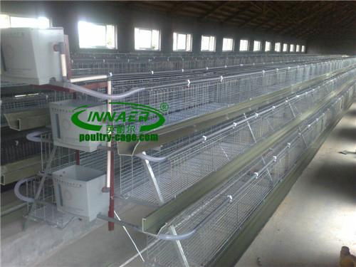 Broiler Cage