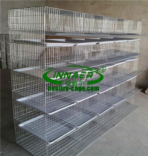 Quail Cages