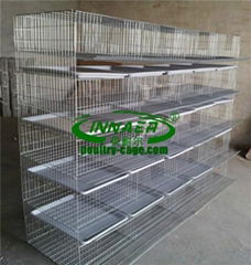 Quail Cages