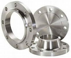 Stainless Steel Flanges