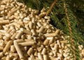 wood pellet 1