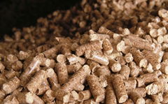 wood pellet