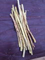 licorice root 2