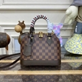 New Arrival Handbags Louis Vuitton bag Fashion Bag