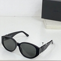 Ysl sunglasses Ray-ban sunglasses  Men sunglasses Women sunglasses Hotsell 