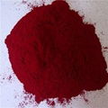 Pigment Red 169