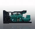 20-1200Kw Cummins Diesel Generator