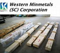 Tellurium Copper Alloy at Western Minmetals