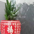 China Factoty Clear 4-5mm Aqualite Patterned Glass 1