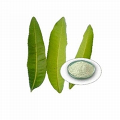 Mango Leaf Extract