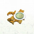 Notoginseng Root Extract 1