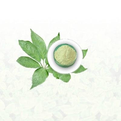 Notoginseng Leaf Extract