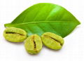 Green Coffee Bean Extract 1