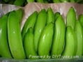 Green Banana