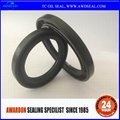 TC NBR/VITON oil seal for high speed