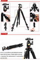 Q-118 protable aluminum alloy tripod 666 2