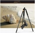 Q666 portable and lightweight tripod for SLR camera666 3