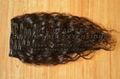 Best selling Vietnamese clip-in hair extensions with 100% remy hair 2