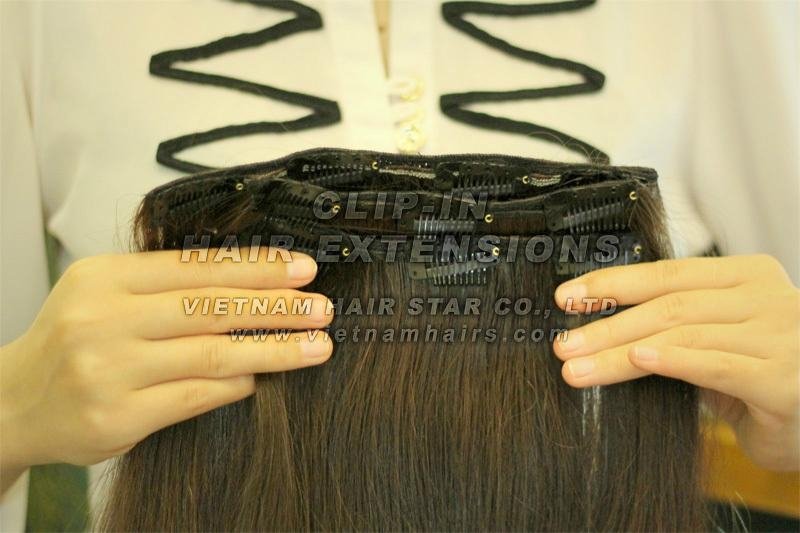 Clip-in hair extensions high quality 2