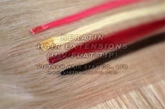 Best Quality Human Hair Extension Suitable Beautiful Ladies